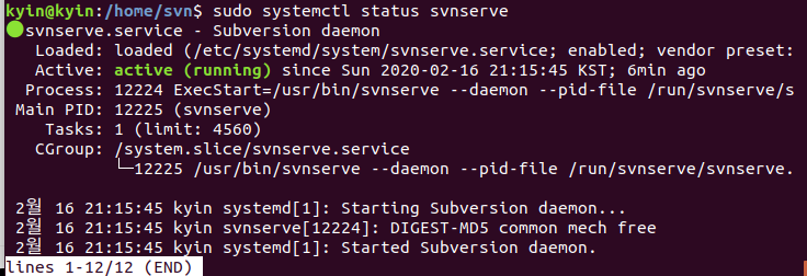systemctl status svnserve